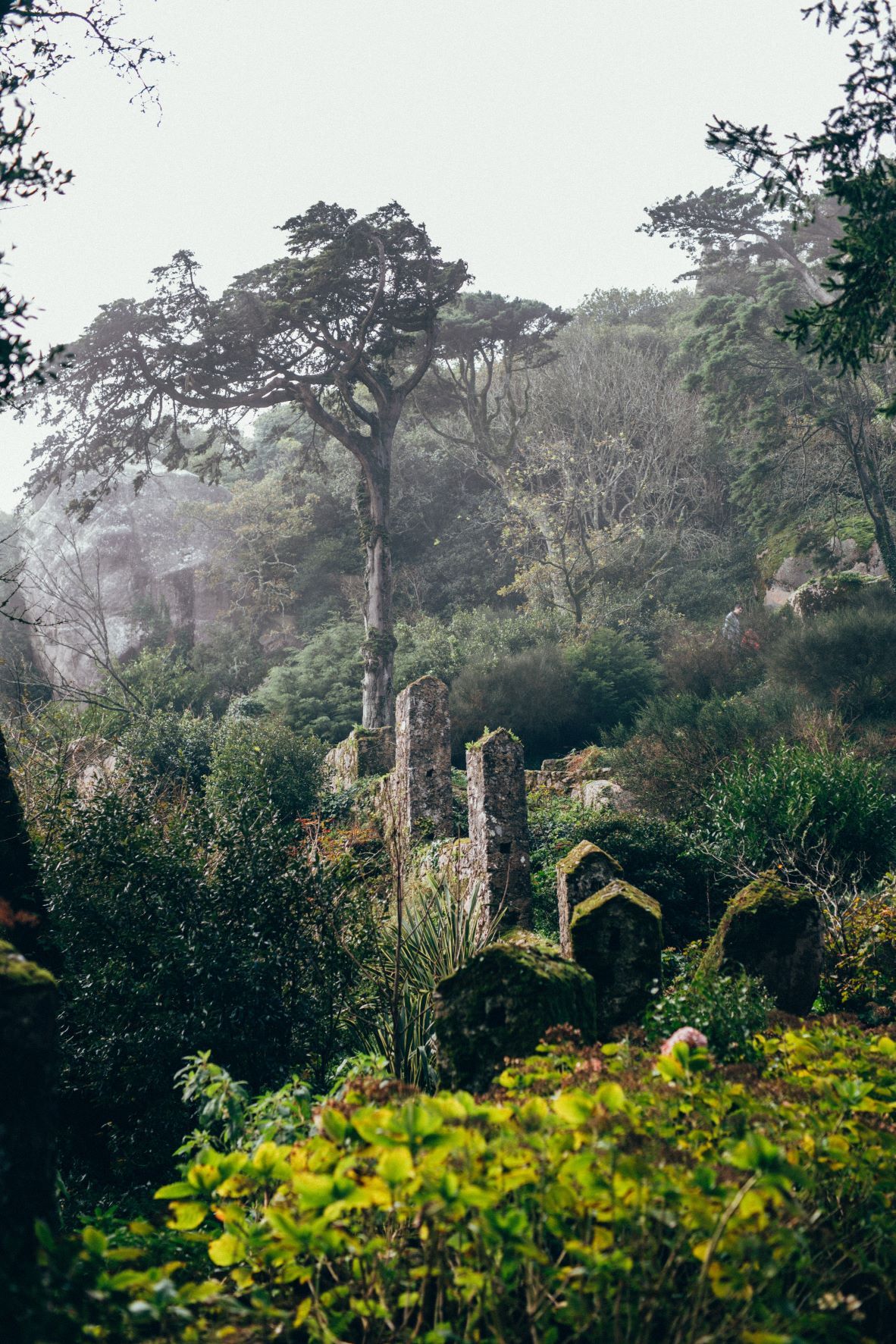 The forest mosaic of Portugal