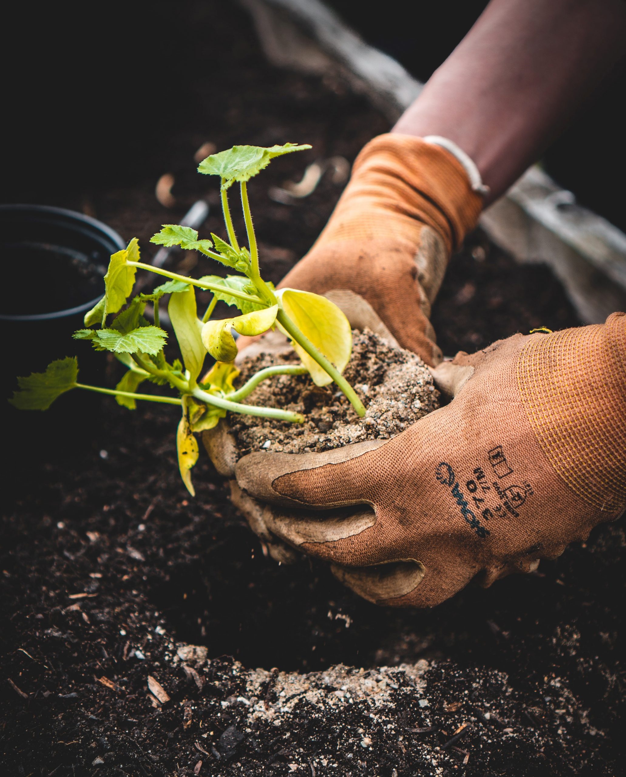 The Navigator Company awarded top ESG honor